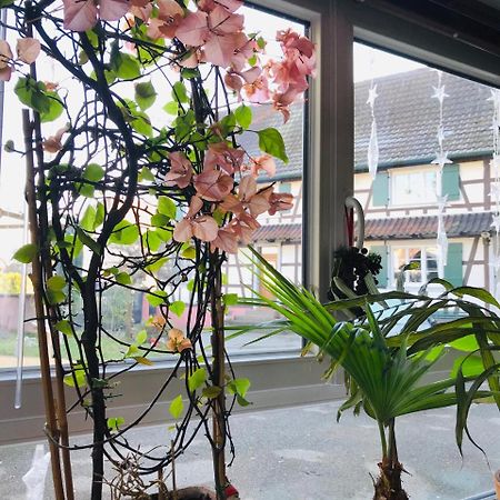 ช็องบร์ โดต โอ เดอ ซิกอญ Bed & Breakfast Gries ภายนอก รูปภาพ