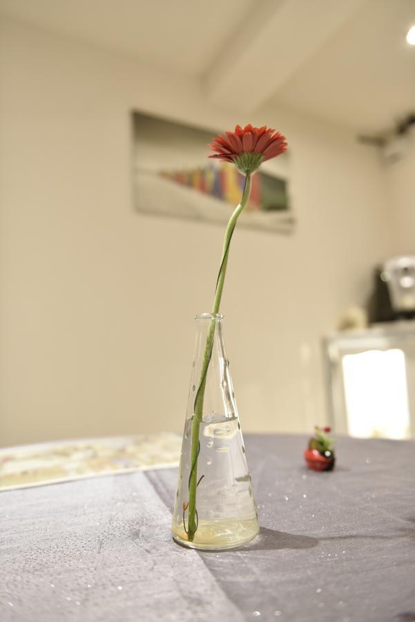 ช็องบร์ โดต โอ เดอ ซิกอญ Bed & Breakfast Gries ภายนอก รูปภาพ