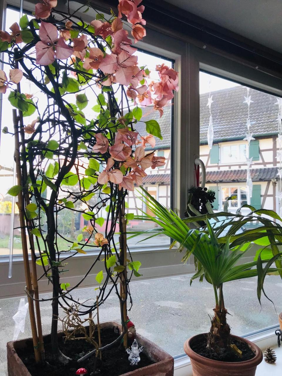 ช็องบร์ โดต โอ เดอ ซิกอญ Bed & Breakfast Gries ภายนอก รูปภาพ